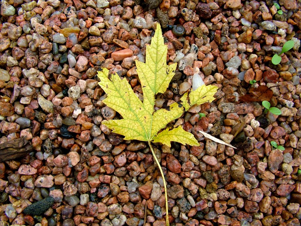 Colorado, United states, Gravel