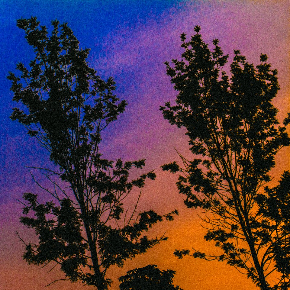 Purple, Orange, Blue