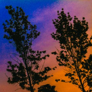 Purple, Orange, Blue