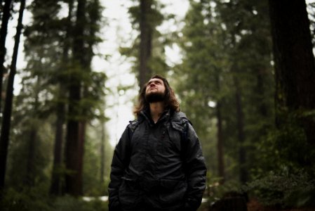 man wearing black jacket looking up surrounded with tall trees photo