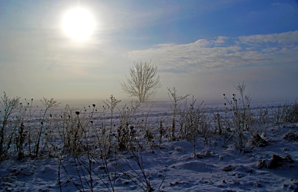 sun shining over snow