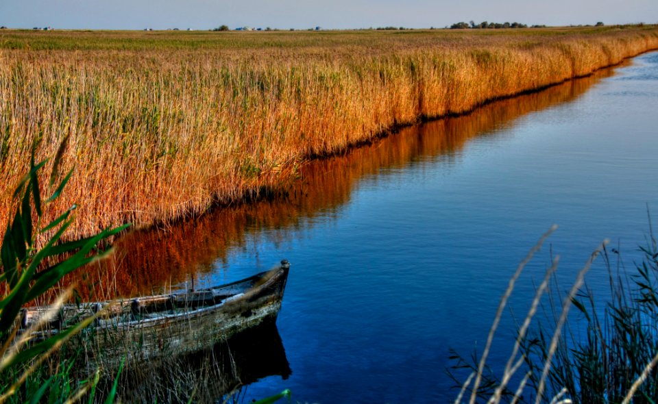 boat on the pond near brown field