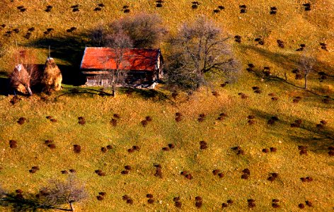 Romnia, Comuna oar, Romania