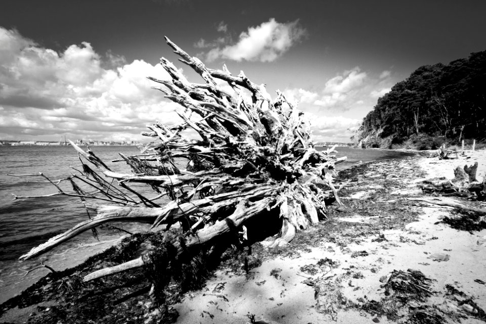 Brownsea isl, Dorset, Poole