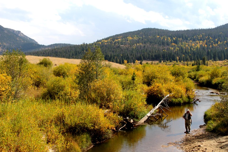 Estes park, United states, Alpine