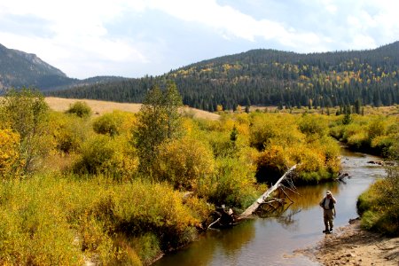 Estes park, United states, Alpine