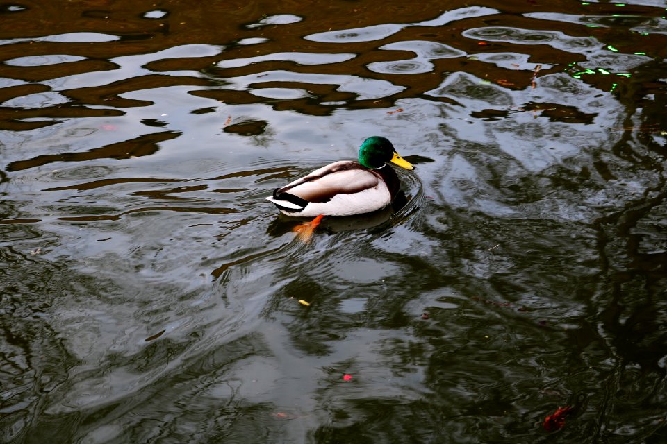 Outside, Nature, Water