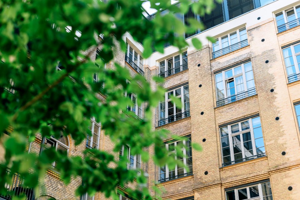 brown concrete building photo