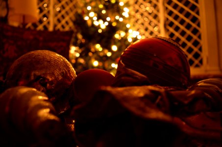 Home, Lights, Warm