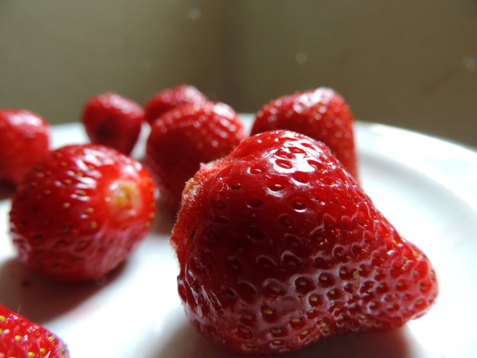 Fresh healthy red