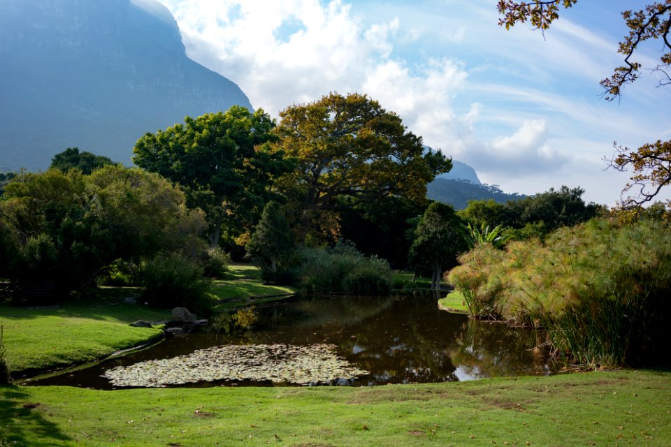 Kirstenbosch drive, Cape town, South africa