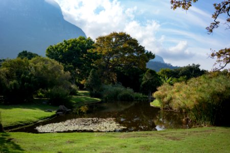 Kirstenbosch drive, Cape town, South africa photo