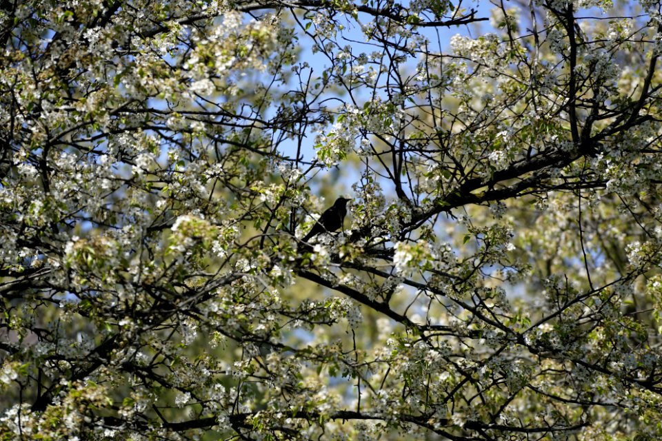 West chester, United states, Summer