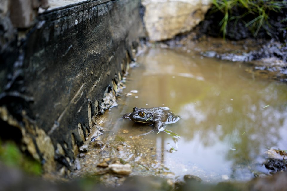 West chester, United states, Mud photo