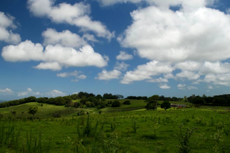 Views, Alstonville, Ballina