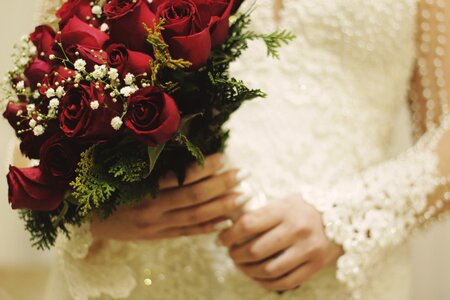 Bride flora flowers