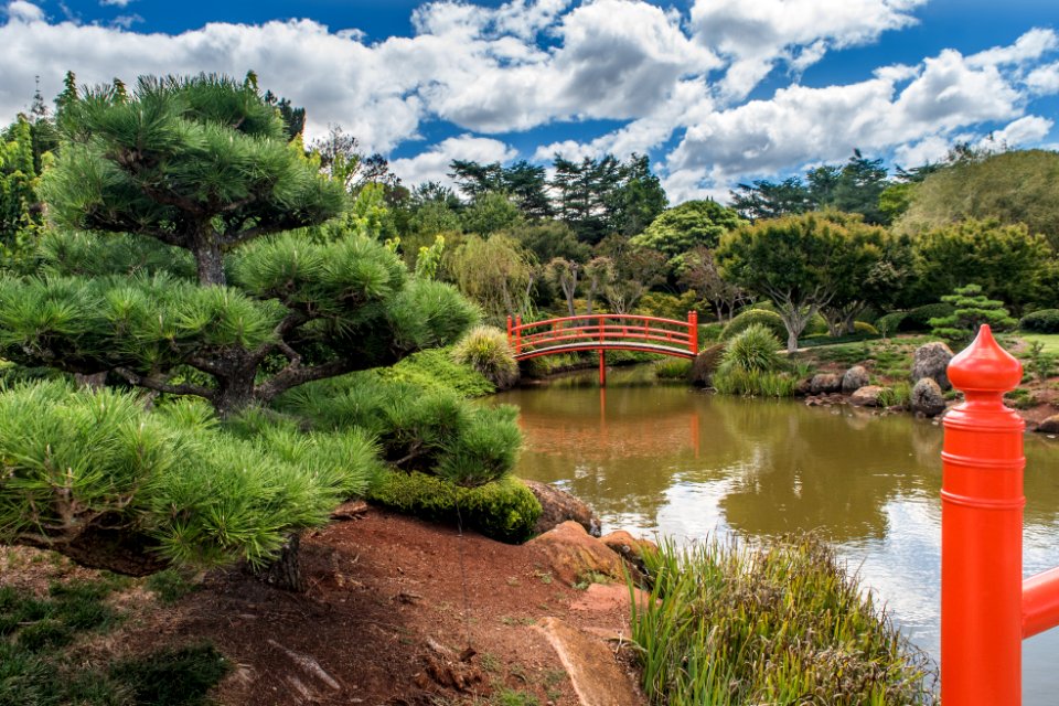 Japanese gardens, Darling heights, Australia