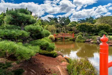Japanese gardens, Darling heights, Australia photo