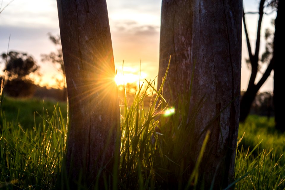 Bony mountain, Australia, Lens flare