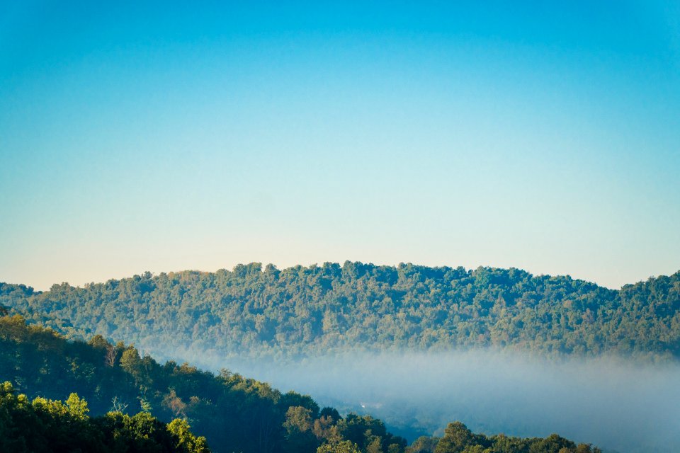 Mountains, Wilderness, Tree