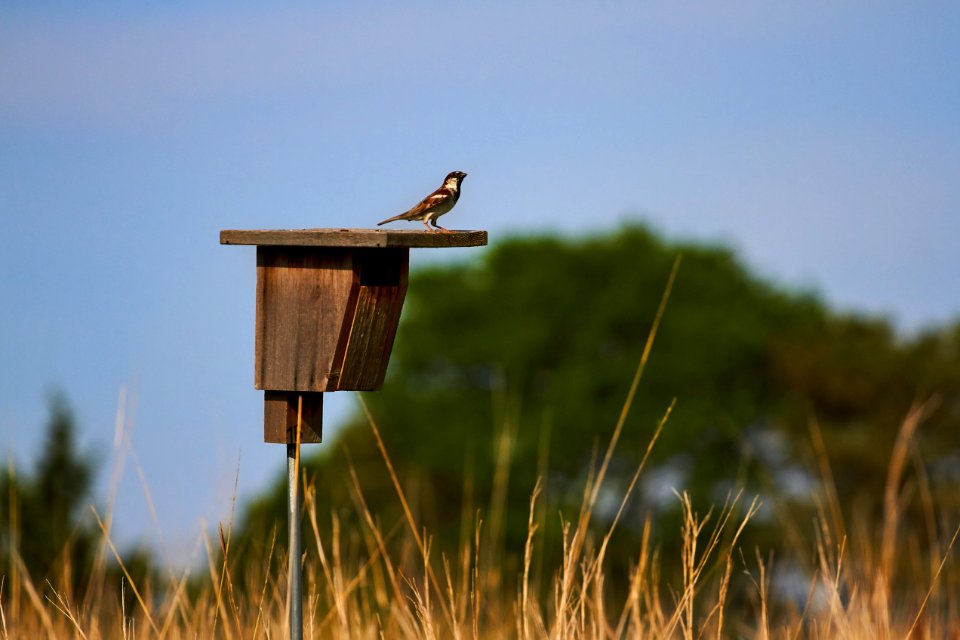 Pioneers park nature center, Lincoln, United states