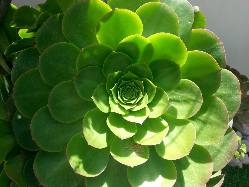 Mathematics nature math
