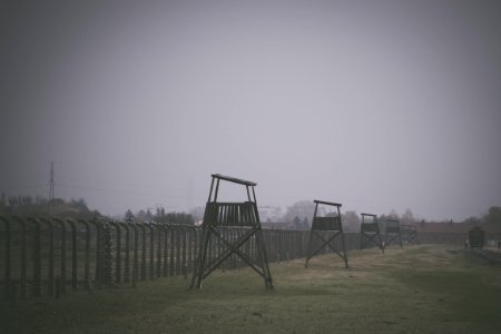 Pol, Auschwitzbirkenau, Owicim