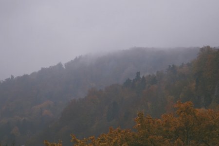 Autum, Rain, Fog photo