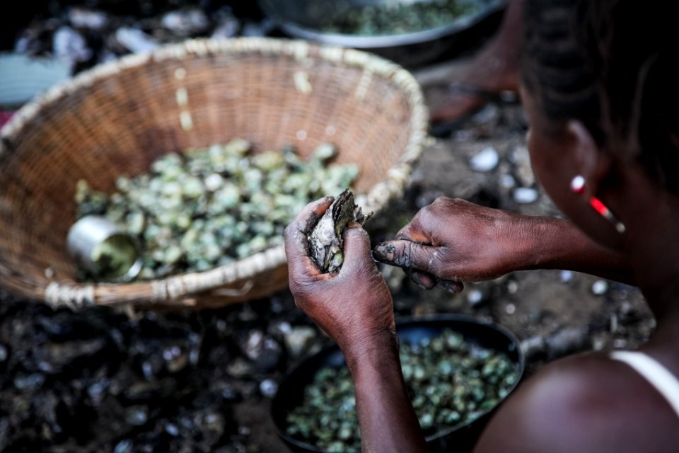 The gambia, Gambia, Cooking