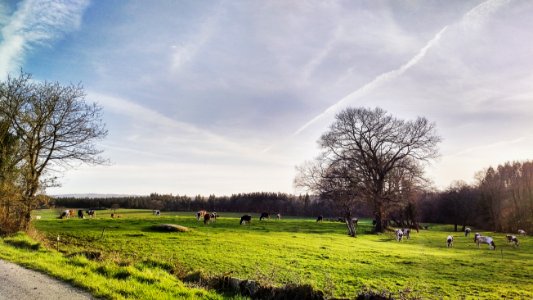 Lugo, Galicia, Espa a