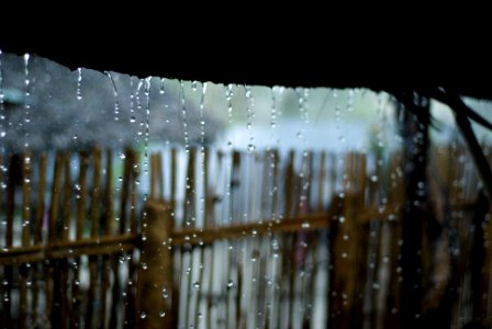 Cambodia, Rain, Rainfall photo