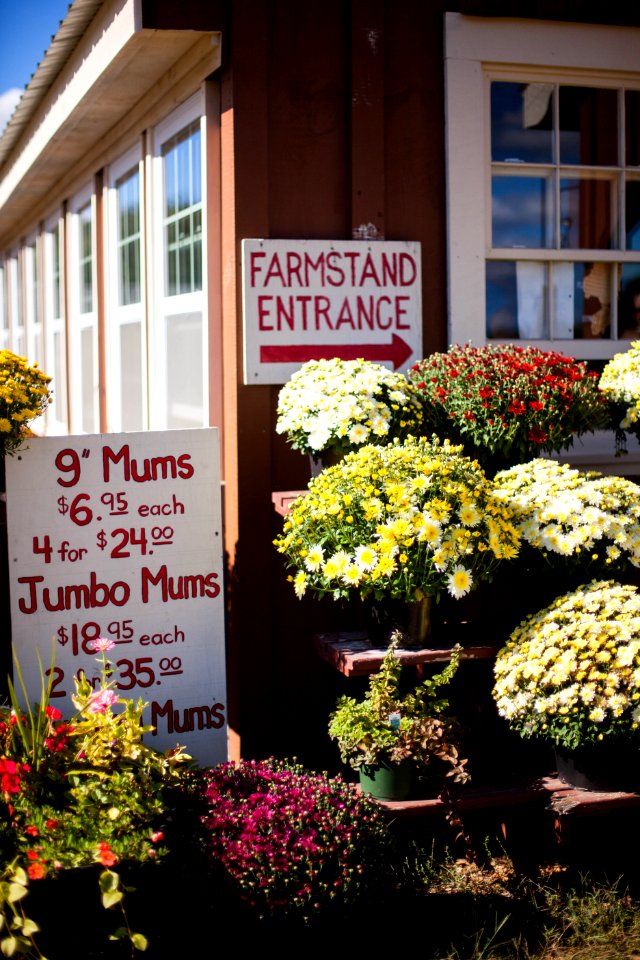 Rhode isl, United states, Market