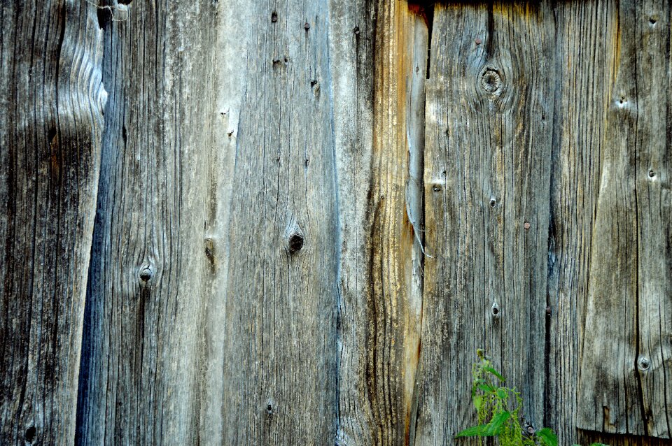 Background knothole close up