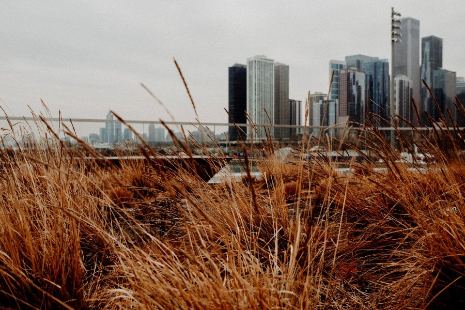 Chicago, United states, Winter