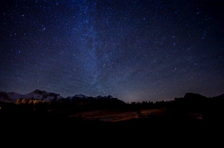 photo of mountain with trees during night