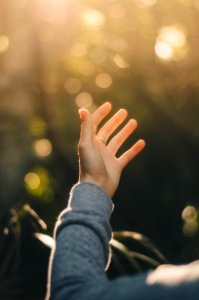 shallow focus photography of person raising hand photo