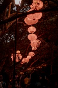 Lanterns, Night, Lights photo