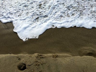 Laguna beach, California, United states photo