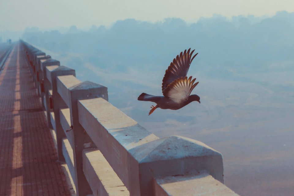 Hinagar, India, Wallpaper