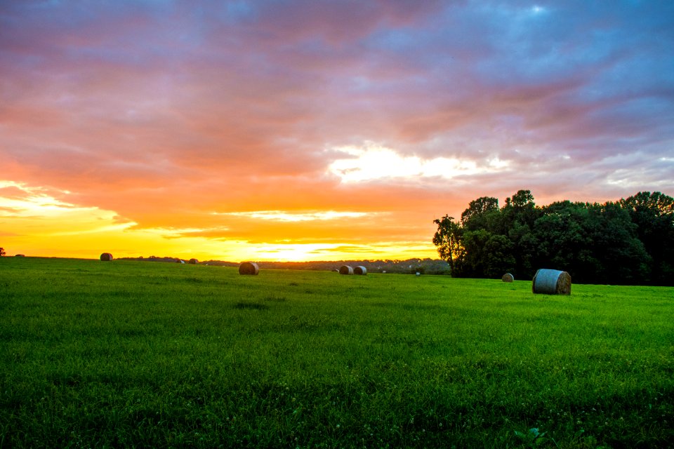 Laytonsville, United states, Hay field