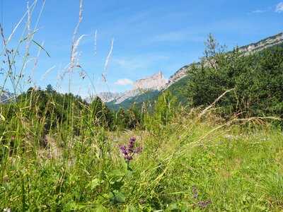 Vercors mountain range dauphiné-alps