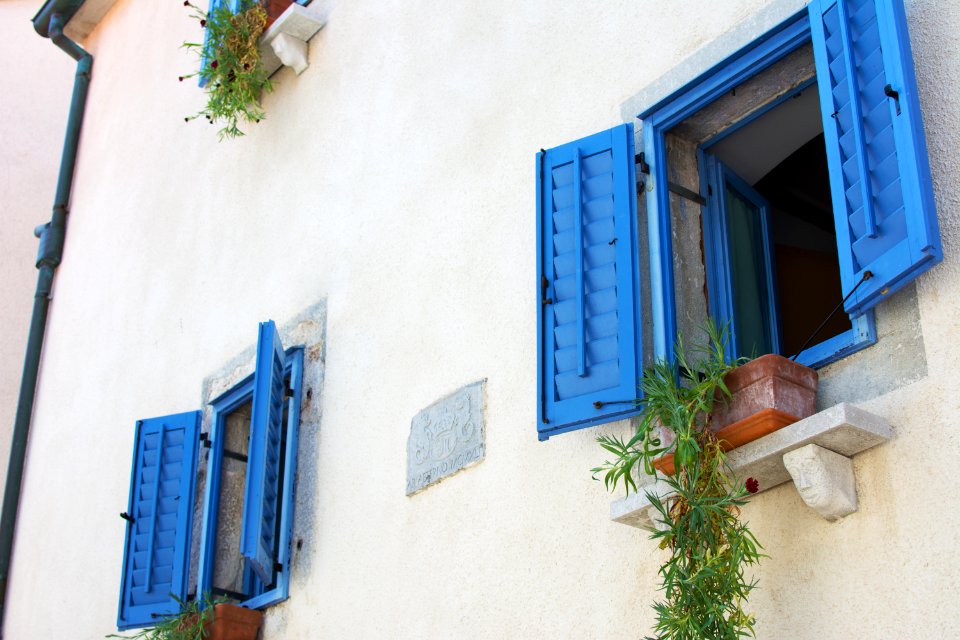 Plants, Blue, Mediteranean