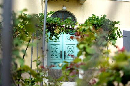 Mediterranean, Wine, Door