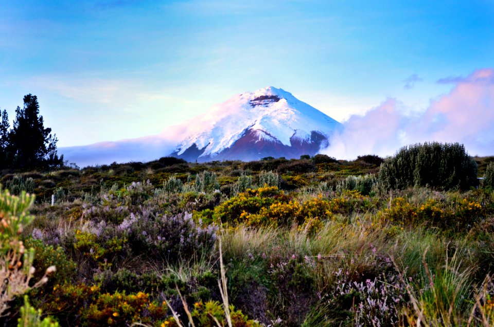 Ecuador, Cotopaxi national park, Cotopaxi