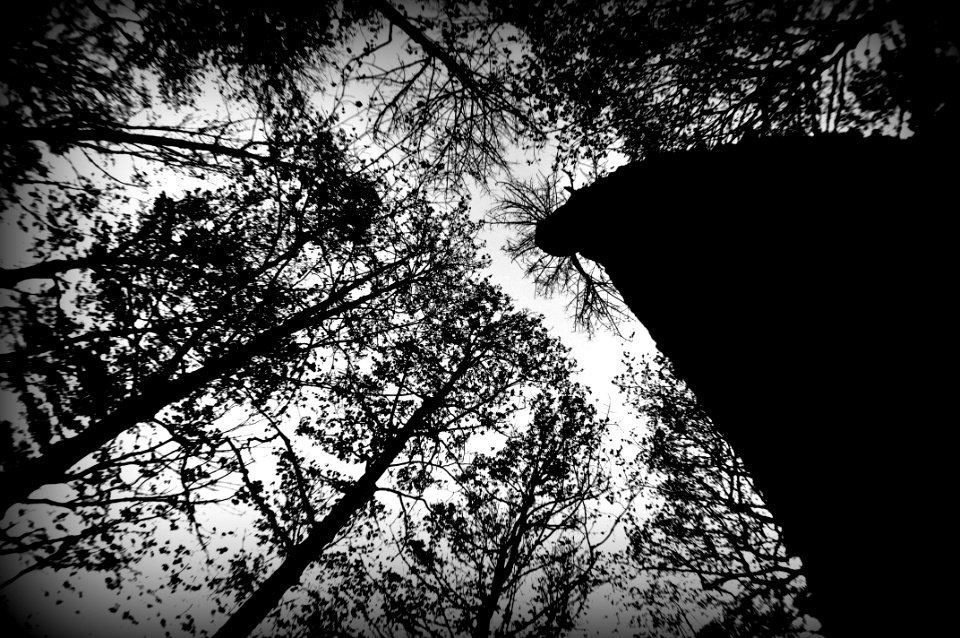 Cedarburg, United states, Black  white