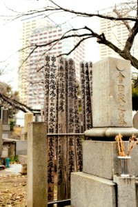Japan, Yanaka cemetery, Taitku