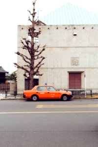 Japan, Tree, Car