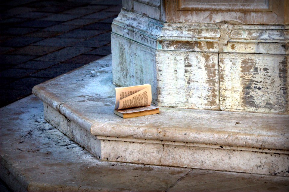 Italy, Metropolitan city of venice, Paper