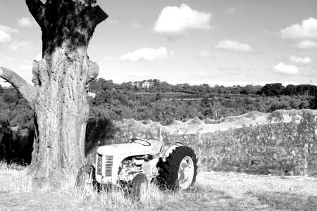 Bush, Black white, Tractor photo