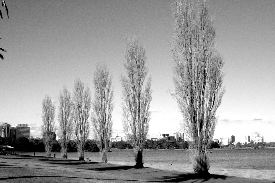Albert park lake, Albert park, Australia